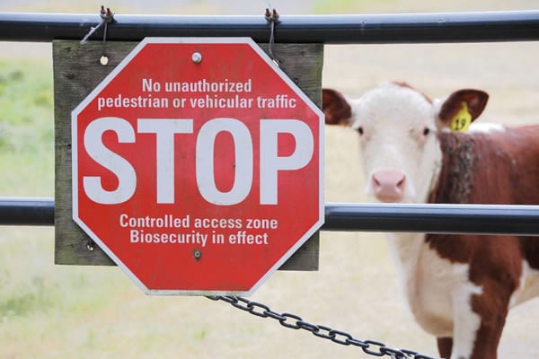 acepsis-biosecurity