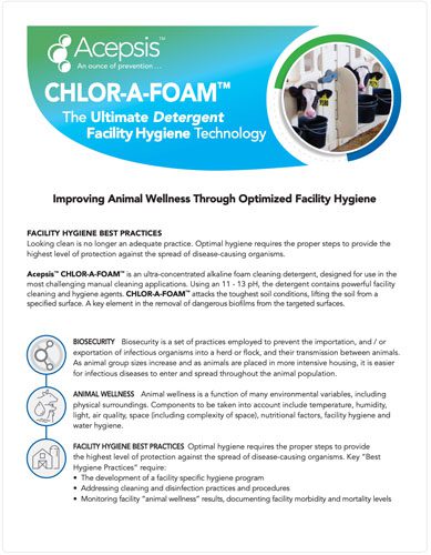 Chlor A Foam SalesSheet