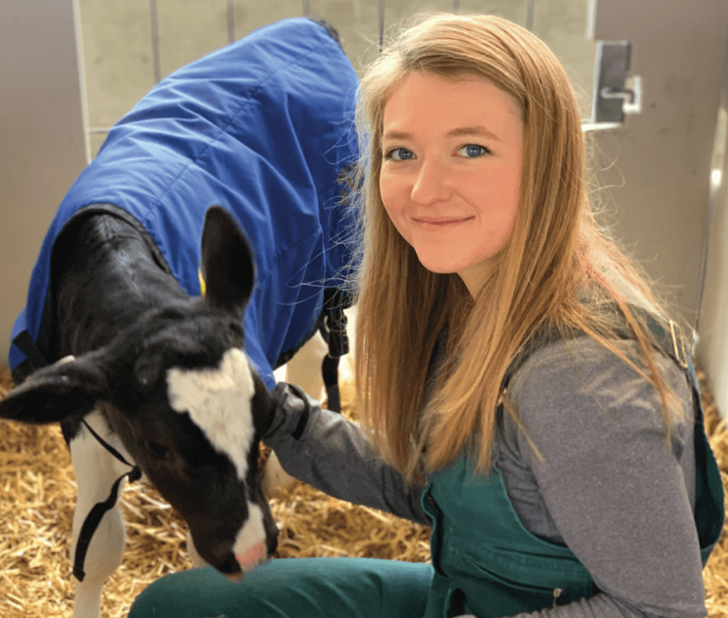 Vet With Calf