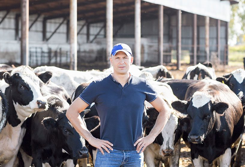 Man Farmer Working On Farm With Dairy Cows